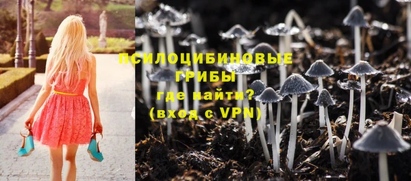 а пвп мука Баксан