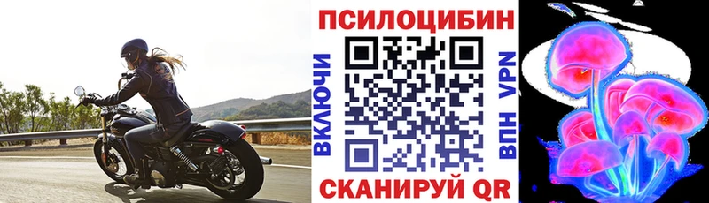 Псилоцибиновые грибы мицелий  Серов 